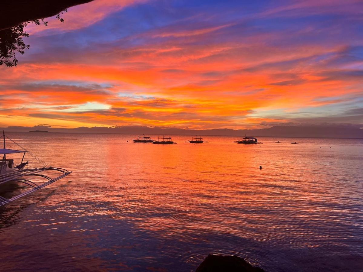 Sunset View Hostel - 써니사이드 모알보알 게스트 하우스 Moalboal Exterior foto