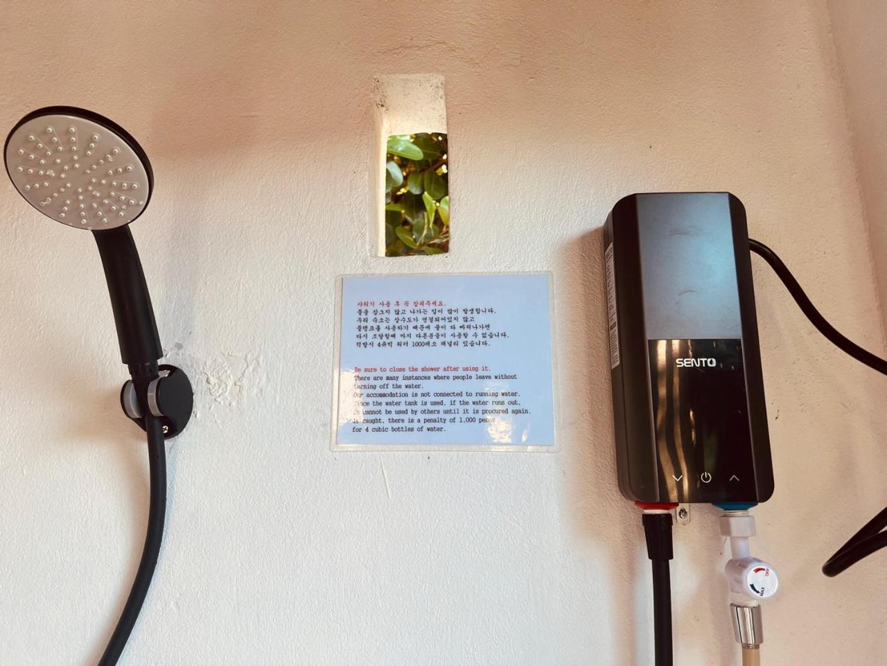 Sunset View Hostel - 써니사이드 모알보알 게스트 하우스 Moalboal Exterior foto